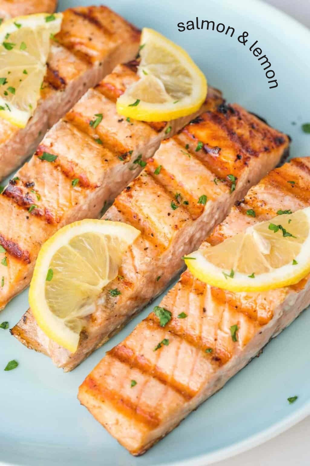 salmon