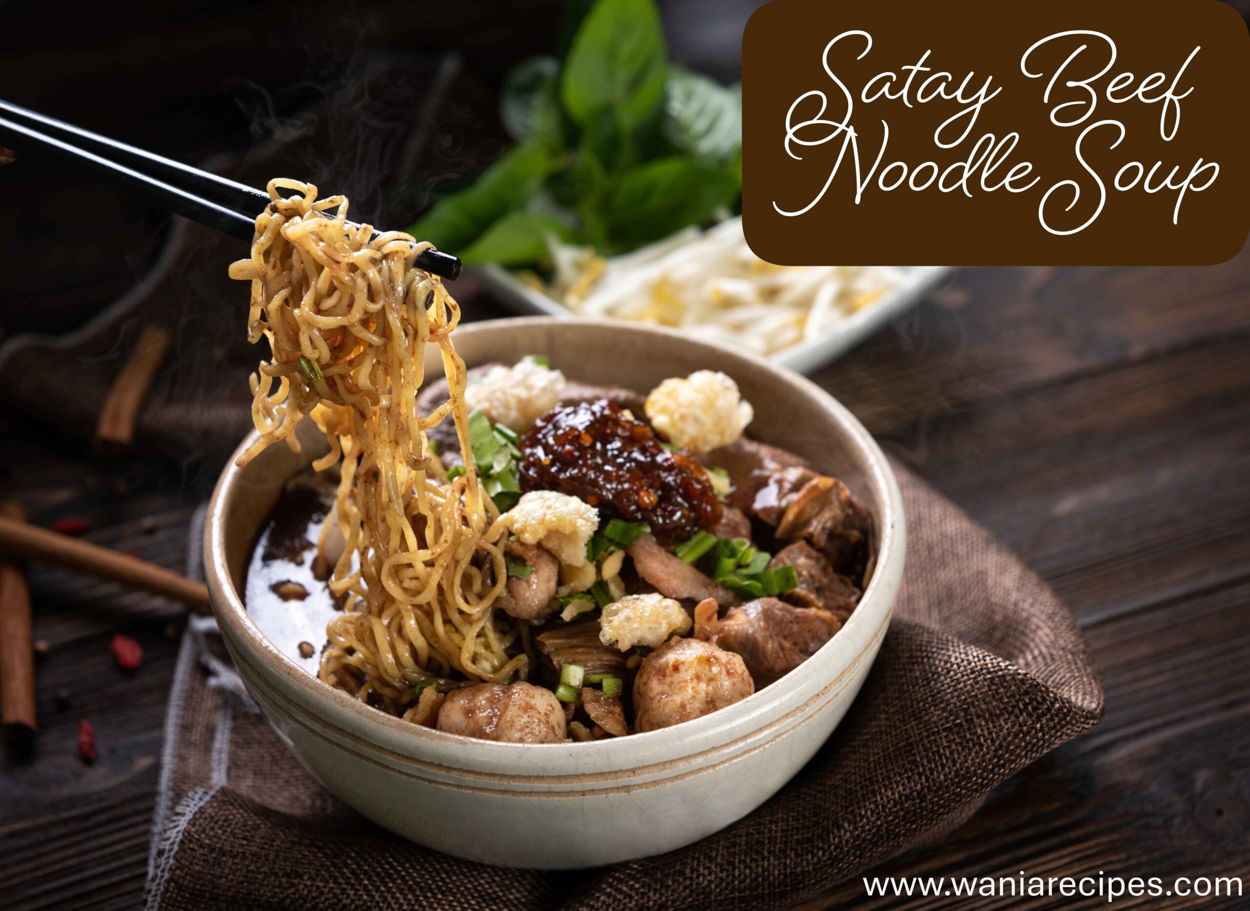 Satay Beef Noodle Soup