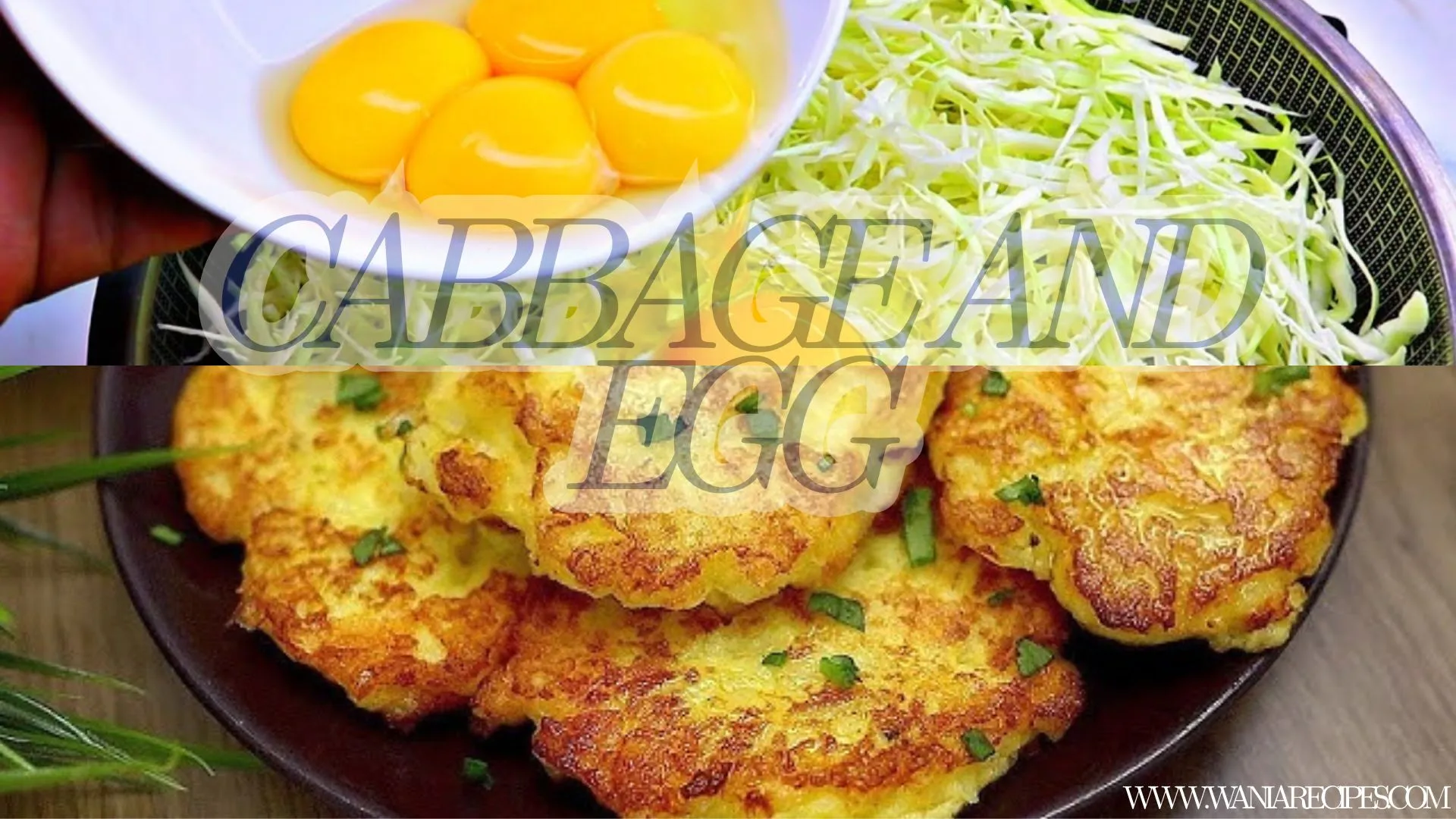 Cabbage and Egg