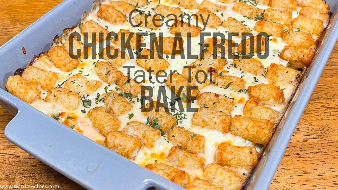 Creamy Chicken Alfredo Tater Tot Bake