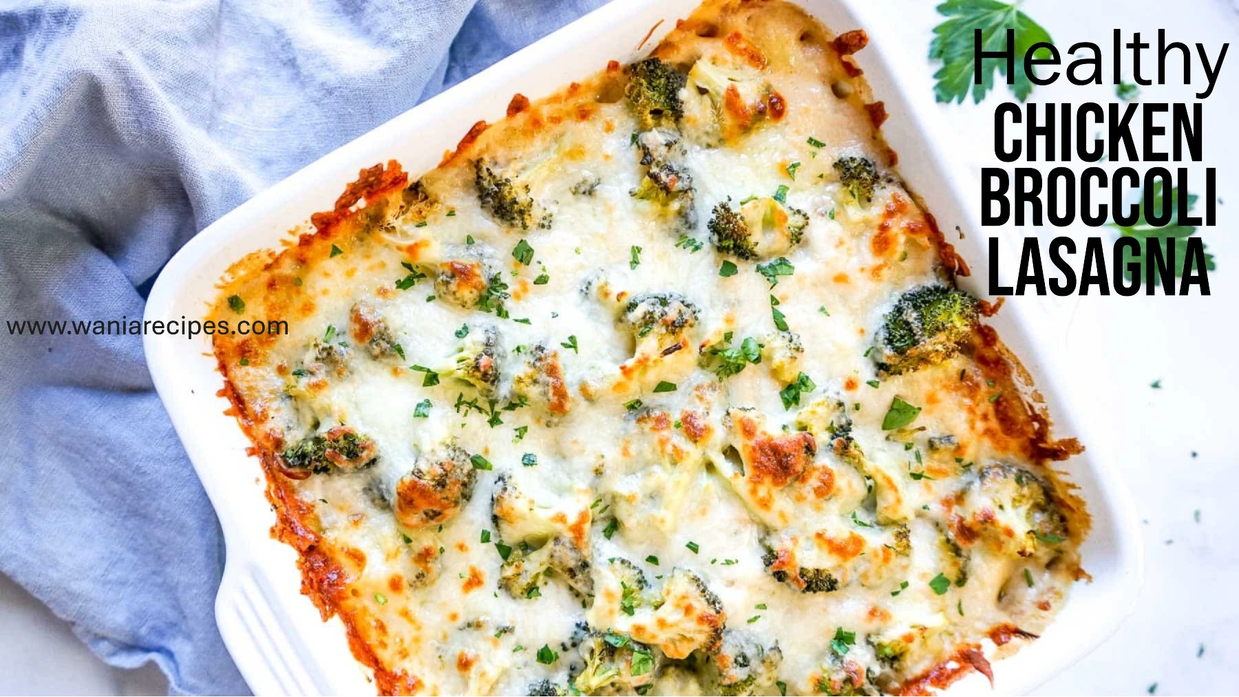 Chicken and Broccoli Lasagna