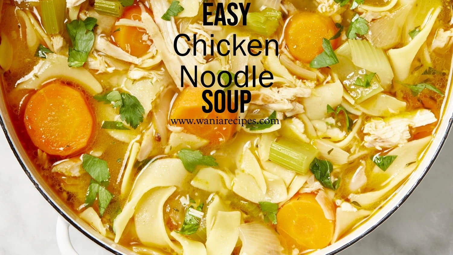 Chicken Noodle Soup